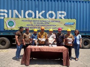 Kementan Ekspor 95 Ton Serabut Kelapa Banyuwangi ke Tiongkok
