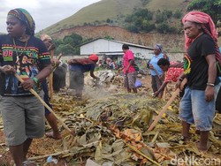 Upacara Bakar Batu di Sentani, Ketua Adat Janji Jaga Papua Damai