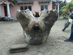 Video Benda Mirip Tengkorak Raksasa Hebohkan Donggala