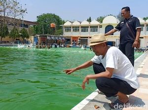 Air Kolam Renang Milik Pemkab Brebes Dikeluhkan Bikin Kulit Gatal