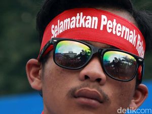 Peternak Curhat Rugi Rp 2 Triliun karena Harga Ayam Anjlok