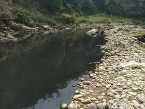 Ombudsman: Sungai Cileungsi Tercemar Berat