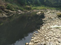 DLH Bogor Akan Tindak Perusahaan yang Cemari Sungai Cileungsi