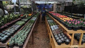 Intip Persiapan Pameran Flora Fauna 2019 di Lapangan Banteng