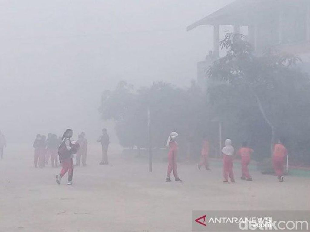 Kabut Asap di Kotim Kalteng Makin Parah, Jarak Pandang 50 Meter Kabut Asap di Kotim Kalteng Makin Parah, Jarak Pandang 50 Meter