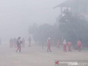 Kabut Asap di Kotim Kalteng Makin Parah, Jarak Pandang 50 Meter Kabut Asap di Kotim Kalteng Makin Parah, Jarak Pandang 50 Meter