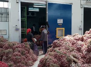 Teknologi Ini Bikin Petani Tak Perlu Cemas Harga Bawang Anjlok