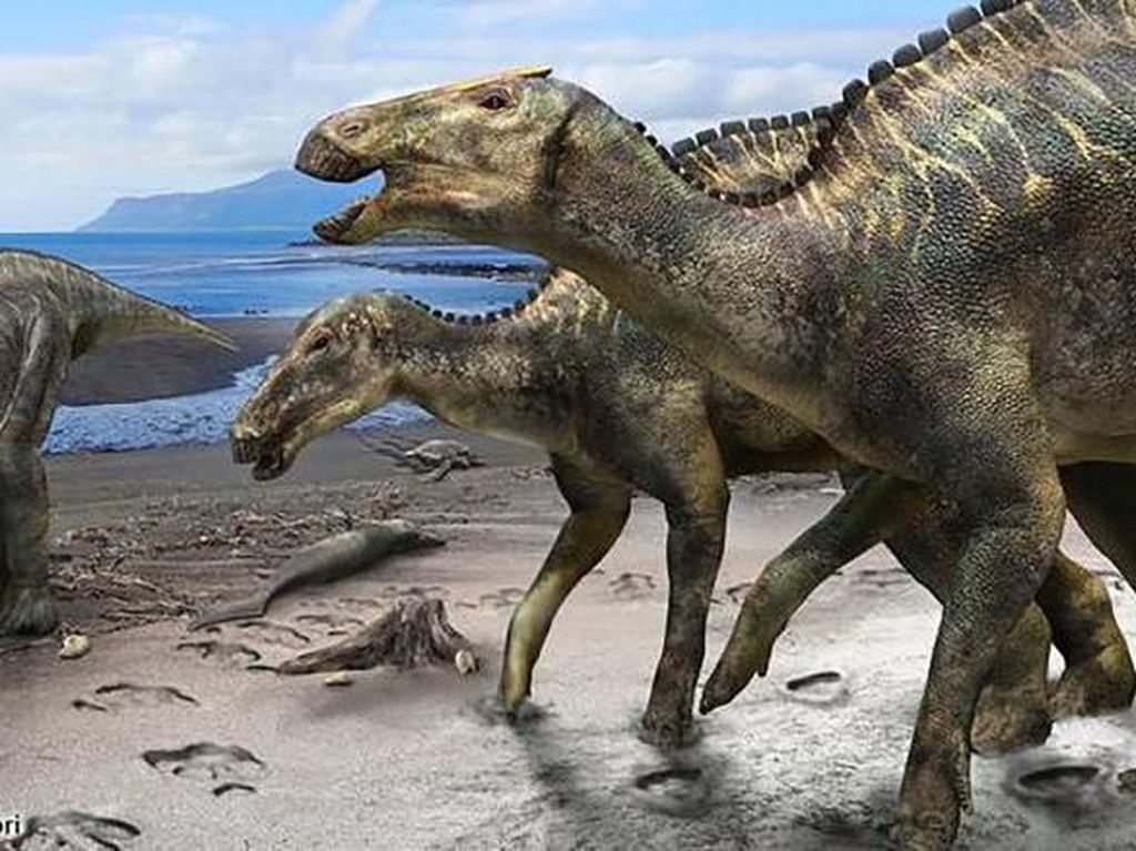 Ada Dinosaurus Misterius Pernah Hidup di Jepang