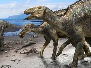 Apa Rasanya Daging Dinosaurus? Apa Rasanya Daging Dinosaurus?
