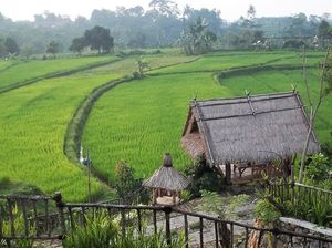 Redakan Stres Sambil Makan Enak di 5 Resto Alam di Bogor