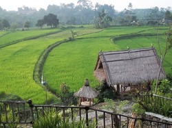Redakan Stres Sambil Makan Enak di 5 Resto Alam di Bogor