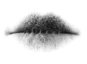 Tes Kepribadian: Kamu Introvert atau Ekstrovert? Lihat Gambar Ini