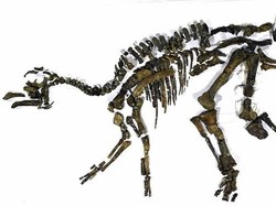 Ilmuwan Jepang Temukan Spesies Baru Dinosaurus Langka