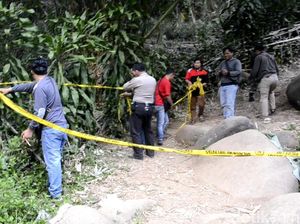 Kematian Tragis Pengantin Baru di Tangan Tetangga