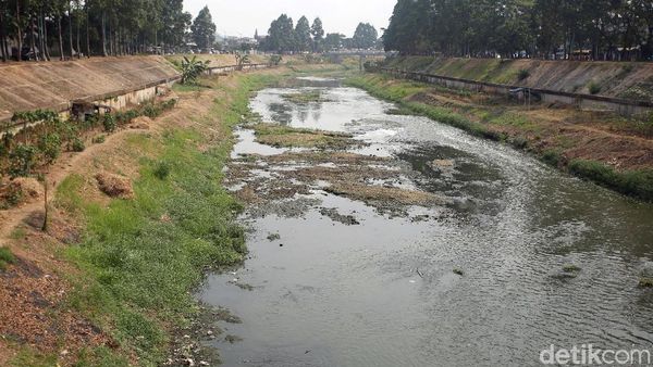 Penampakan Kanal Banjir Timur yang Surut Kala Musim Kemarau