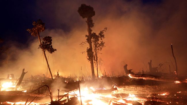 Berita Kebakaran Hutan Amazon, 7 Negara Teken Perjanjian Perlindungan Lembah Sungai Kamis 18 April 2024