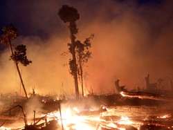 Kebakaran Hutan Amazon, 7 Negara Teken Perjanjian Perlindungan Lembah Sungai