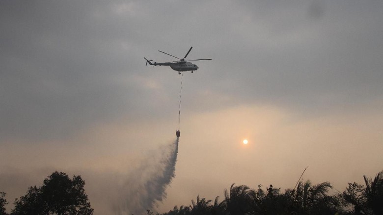 Atasi Karhutla, BNPB Siapkan 31 Helikopter Water Bombing
