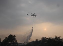Helikopter BNPB di Kalbar Rusak Terjerat Tali Layangan Saat Padamkan Karhutla