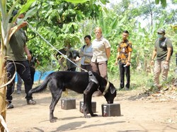 Polda Lampung Punya Anjing K9 Khusus Lacak Penyelundupan Satwa Liar