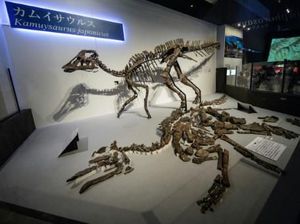Spesies Baru Dinosaurus Ditemukan di Jepang, Mirip Burung Unta