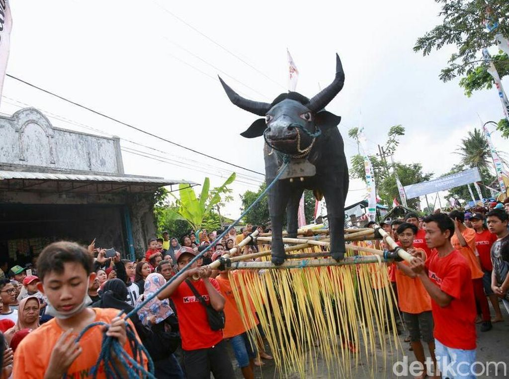 Video Keseruan Tradisi Keboan Aliyan di Banyuwangi Video Keseruan Tradisi Keboan Aliyan di Banyuwangi