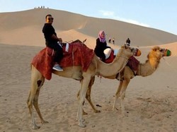 Per Hari Ini Abu Dhabi Setop Aktivitas Wisata