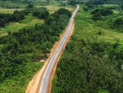Kalimantan Tengah Ditarget Jadi Lokasi Cetak Sawah Baru