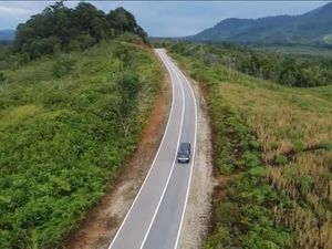 Penampakan Jalan Perbatasan Kalbar Meliuk-liuk di Tengah Hutan Penampakan Jalan Perbatasan Kalbar Meliuk-liuk di Tengah Hutan