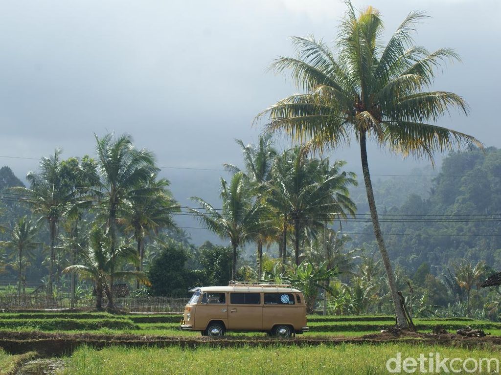 Cara Baru Liburan di Banyuwangi, Keliling Naik Mobil Antik Cara Baru Liburan di Banyuwangi, Keliling Naik Mobil Antik