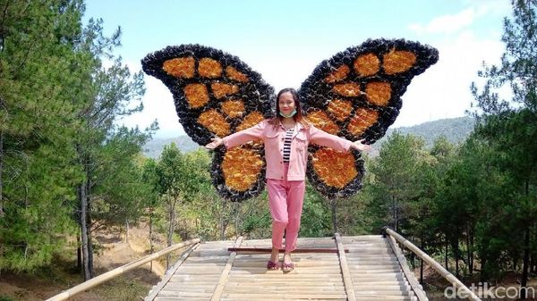 Foto: Bukit Instagramable dari Purworejo