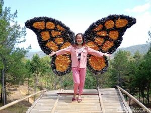 Foto: Bukit Instagramable dari Purworejo