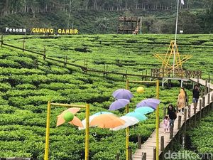 Bukan Stasiun Gambir, Ini Gunung Gambir