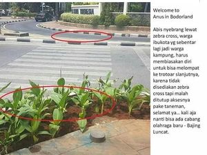 Viral! Trotoar di Jakpus Ini Ditanami Tanaman Bikin Bingung Pejalan Kaki