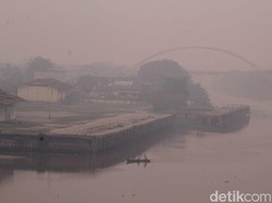 Pemprov Diminta Serius Selesaikan Karhutla di Riau