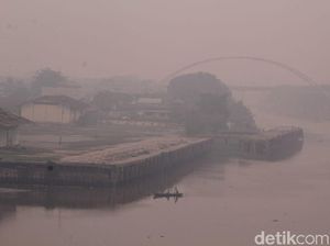 Pemprov Diminta Serius Selesaikan Karhutla di Riau Pemprov Diminta Serius Selesaikan Karhutla di Riau