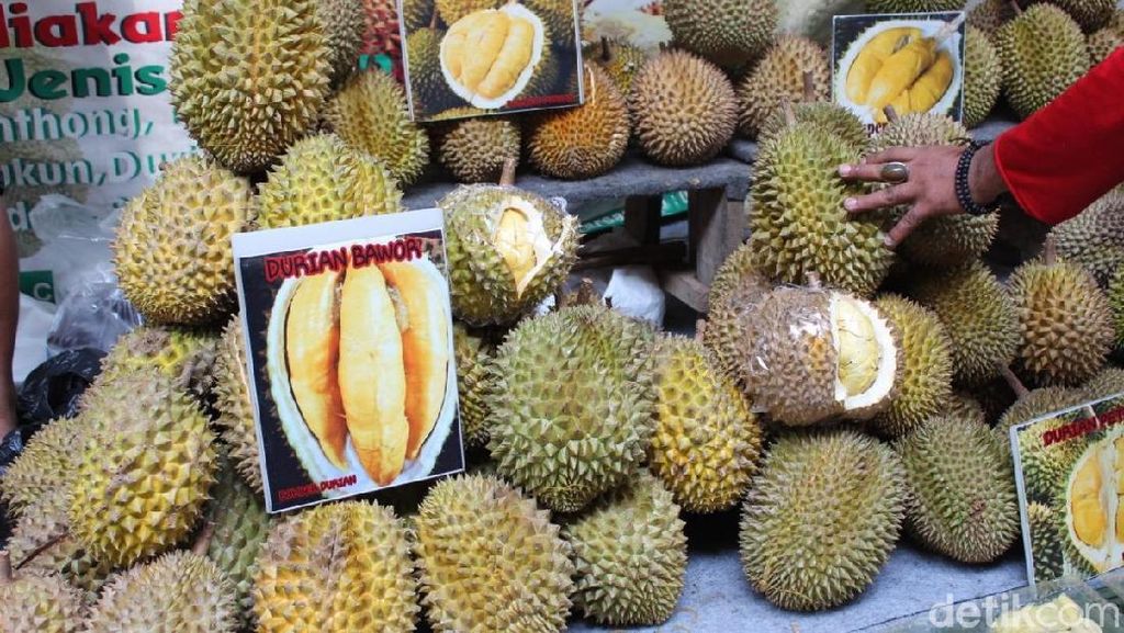 Ragam Durian dan Olahannya Hadir di Pekan Raya Durian