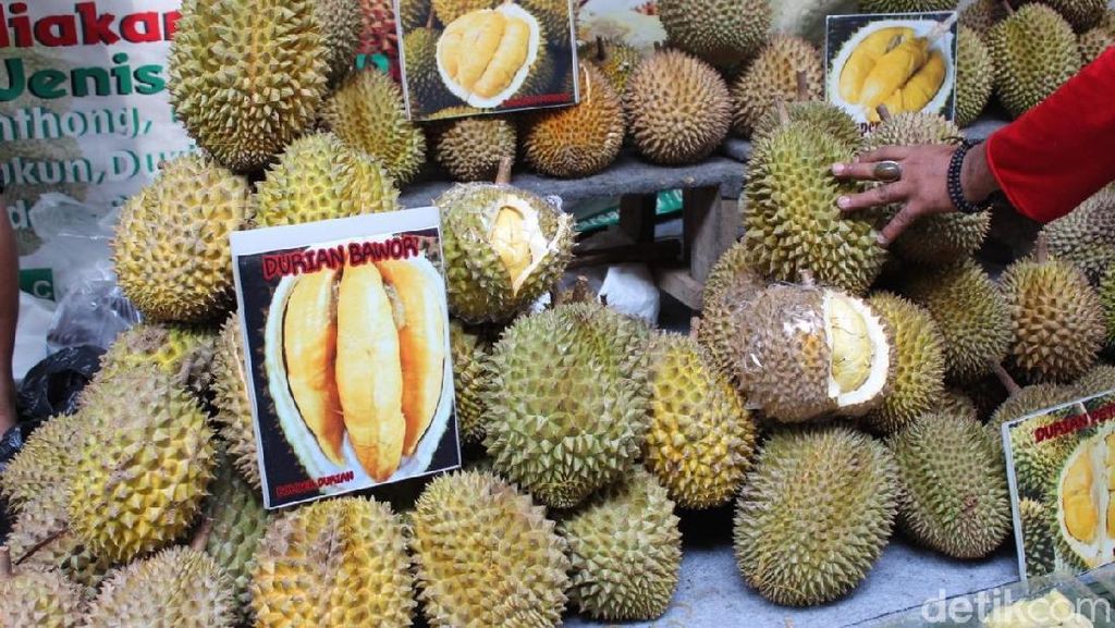 Ragam Durian dan Olahannya Hadir di Pekan Raya Durian Ragam Durian dan Olahannya Hadir di Pekan Raya Durian