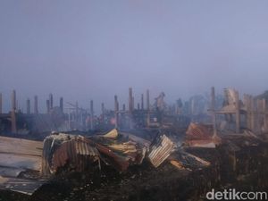 Kebakaran Melanda Peternakan di Kudus, 163 Kambing Mati Terpanggang