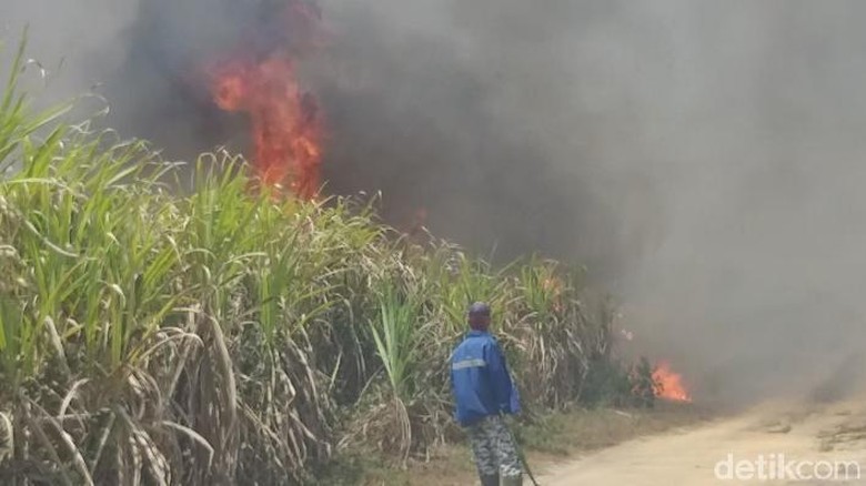 Kebun Tebu PTPN VII di Ogan Ilir Terbakar