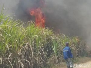 Kebun Tebu PTPN VII di Ogan Ilir Terbakar