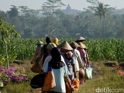 Langkah Telkom Sulap Satu Kampung Jadi Petani Digital