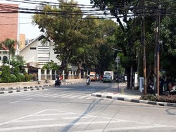 Respons Wawalkot Japus soal Tanaman di Trotoar Halangi Zebra Cross