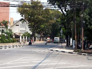 Respons Wawalkot Japus soal Tanaman di Trotoar Halangi Zebra Cross Respons Wawalkot Japus soal Tanaman di Trotoar Halangi Zebra Cross