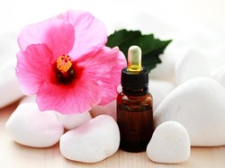 Mengenal Bunga Hibiscus dan Cara Merawatnya Agar Taman Makin Cantik