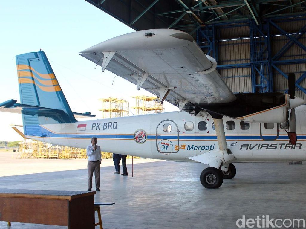Merpati Masih Bisa Terbang Lagi? Merpati Masih Bisa Terbang Lagi?