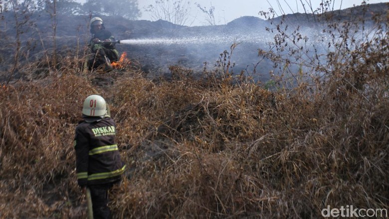 KLHK: 85 Persen Karhutla Terjadi di Perkebunan