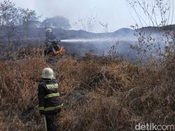KLHK: 85 Persen Karhutla Terjadi di Perkebunan