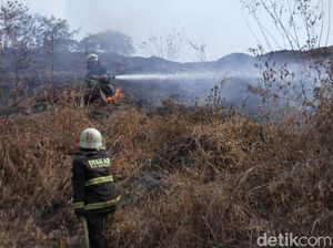 Lahan Gambut 2 Hektare di Gunung Pasir Paros Baleendah Terbakar Lahan Gambut 2 Hektare di Gunung Pasir Paros Baleendah Terbakar