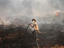 Sempat Hilang karena Hujan, Kini Muncul 160 Titik Panas di Sumatera